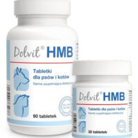 Dolfos Dolvit HMB 90 Tabletek