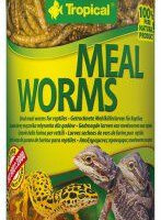 Tropical Meal Worms 250ml