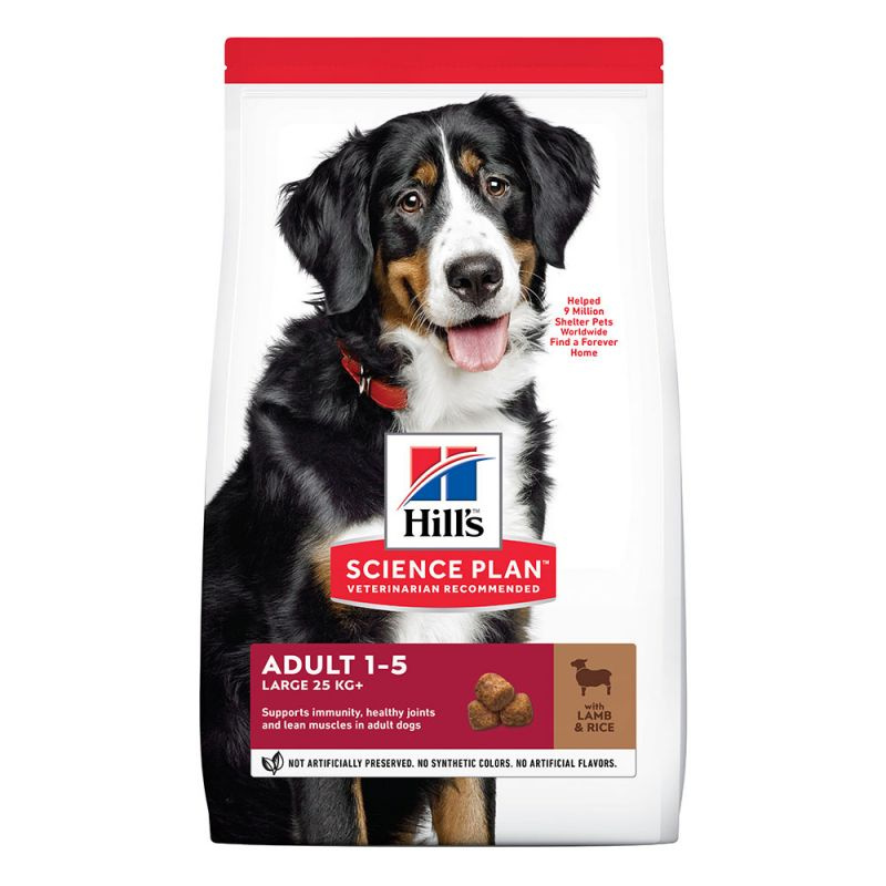 Hill's SP Science Plan Canine Adult Large Breed Jagnięcina i Ryż 14kg