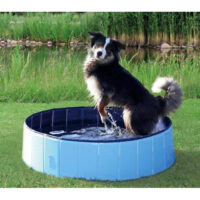 Trixie Basen Dla Psa 80x20cm