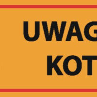 Dingo Tabliczka Ostrzegawcza "Uwaga Kot"