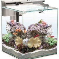 AQUAEL Zestaw Nano Reef Duo 35 Biały 2.0