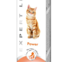 Gimcat Energy Pasta Dla Kota 50g