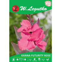 Kanna Futurity Rose różowa 1szt.