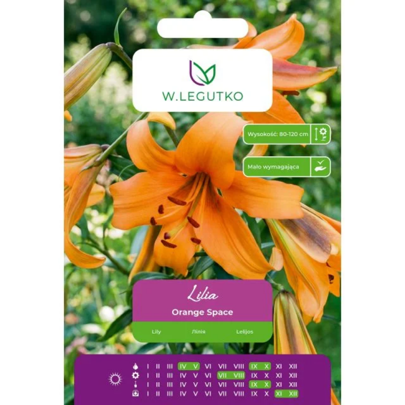 Lilia Orange Space pomarańczowa 1szt.