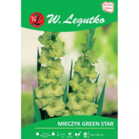 Mieczyk Green Star zielony - bulwy 5 szt.