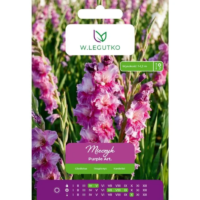 Bulwy mieczyka Purple Art, fioletowe, 5 szt.