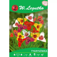 Tygrysówka mieszanka 7szt.