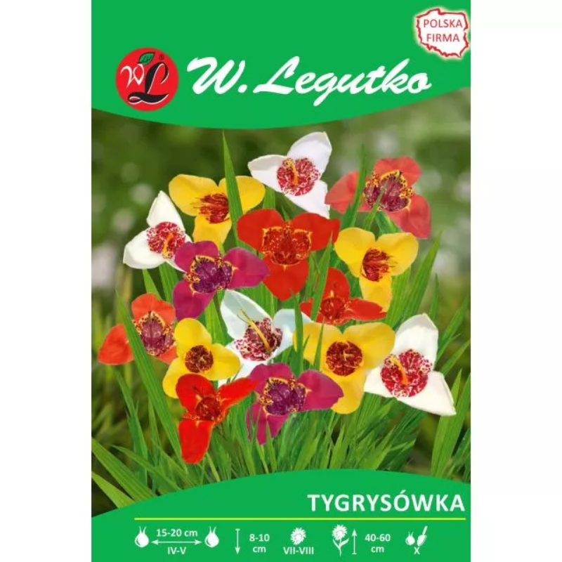Tygrysówka mieszanka 7szt.
