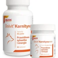 Dolfos Dolvit Karnityna 90 Tabletek