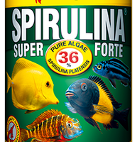 Tropical Super Spirulina Forte 250ml