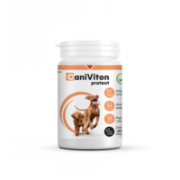 Vetoquinol Caniviton Protect 90szt