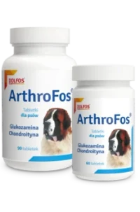 Dolfos ArthroFos 90 Tabletek