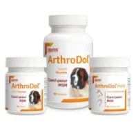 Dolfos ArthroDol 90 Tabletek