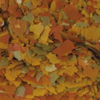 Tropical Goldfish Color 500ml