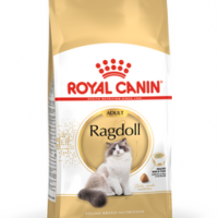 ROYAL CANIN Ragdoll Adult 10kg