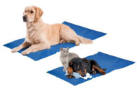 Cooling Gel Mat 4XL 70×110 cm – mata chłodząca dla psa i kota