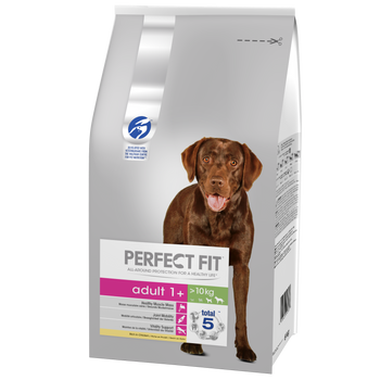 Perfect Fit™ - sucha karma pełnoporcjowa dla dorosłych psów średnich i dużych ras, bogata w kurczaka 6kg