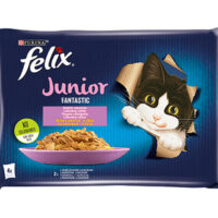 Felix Fantastic Junior W Galaretce Z Kurczakiem I Łososiem 4x85g