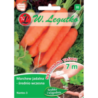 Marchew jadalna 'Nantes 3' (Nantejska) – średnio wczesna