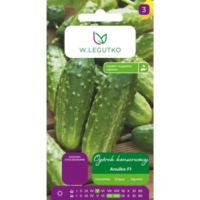 Ogórek korniszonowy gruntowy 'Anulka' (Cucumis sativus)