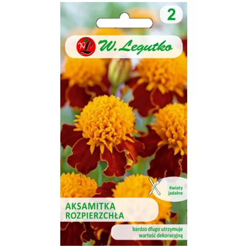 Aksamitka rozpierzchła 'Orange Flame' – pomarańczowo-brązowa, 1 g