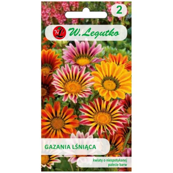 Gazania lśniąca mieszanka, nasiona otarte
