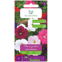 Petunia ogrodowa niska – mieszanka