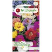 Portulaka wielkokwiatowa – mieszanka półpełna