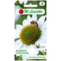 Jeżówka biała – rudbekia purpurowa