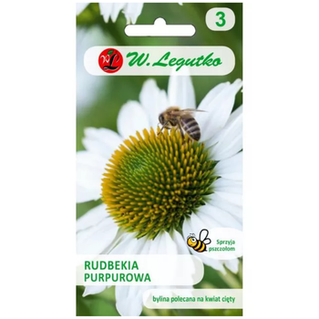 Jeżówka biała – rudbekia purpurowa