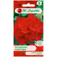 Pelargonia rabatowa Gama F1 – czerwona