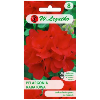 Pelargonia rabatowa Gama F1 – czerwona