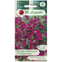 Petunia ogrodowa 'Rubina' F2 (typ surfinia) – kwiaty purpurowofioletowe