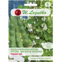 Fasola 'Piękny Jaś' – tyczna, wielokwiatowa, ziarno duże, białe