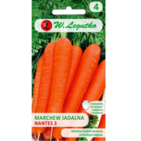 Marchew jadalna 'Nantes 3' (Nantejska) – odmiana średnio wczesna