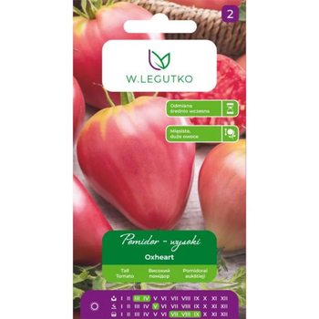 Pomidor gruntowy wysoki 'Coeur de Boeuf' (Oxheart) – owoce bardzo duże