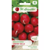 Rzodkiewka Cherry Belle - okrągła, czerwona