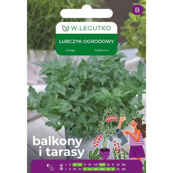 Nasiona lubczyku ogrodowego do ogrodu