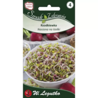 Nasiona na kiełki - rzodkiewka